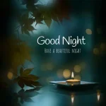 Good Night Status Video in Hindi For WhatsApp