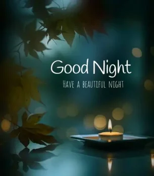 Nature Good Night Status Video For WhatsApp