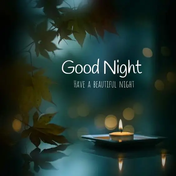 Nature Good Night Status Video For WhatsApp