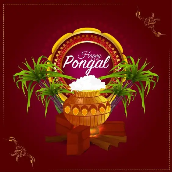 Happy Pongal Wishes WhatsApp Status Video Download