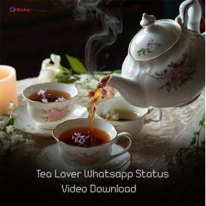 Tea Lover Whatsapp Status Video Download