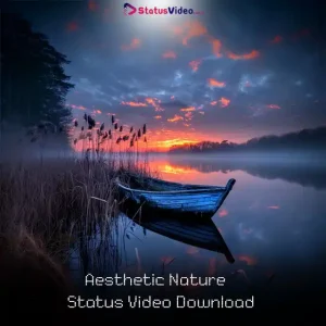 Aesthetic Nature Status Video Download