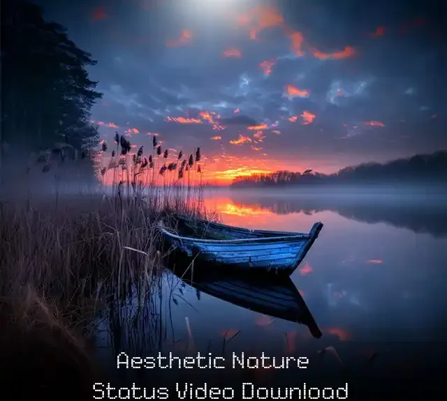 Aesthetic Nature Status Video Download