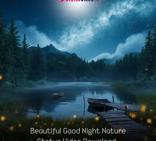 Beautiful Good Night Nature Status Video Download