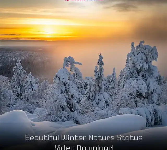 Beautiful Winter Nature Status Video Download