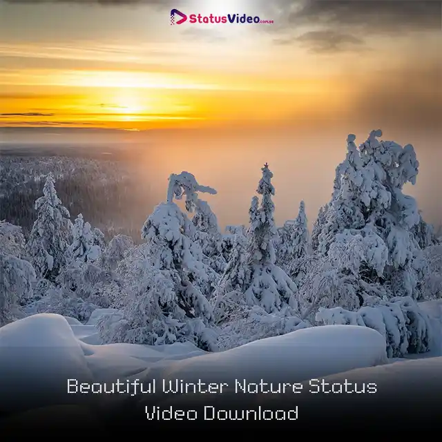 Beautiful Winter Nature Status Video Download