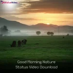 Good Morning Nature Status Video Download