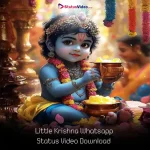 Little Krishna Whatsapp Status Video Download