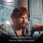 Pushpa 2 Allu Arjun Status Video Download