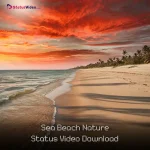 Sea Beach Nature Status Video Download