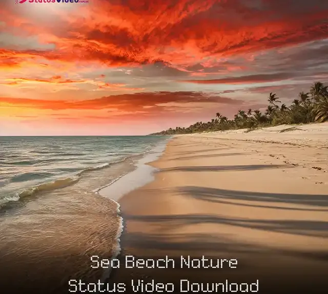 Sea Beach Nature Status Video Download