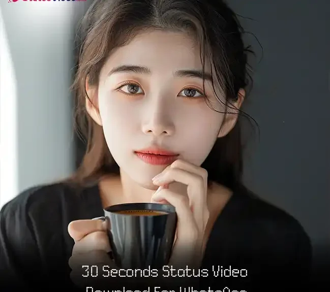 30 Seconds Status Video Download For WhatsApp