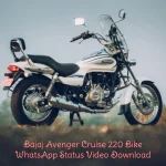 Bajaj Avenger Cruise 220 Bike Status Video Download