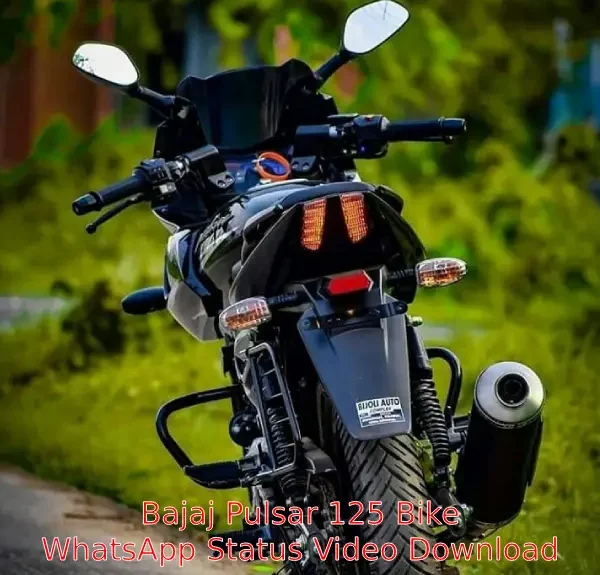 Bajaj Pulsar 125 Bike Status Video Download