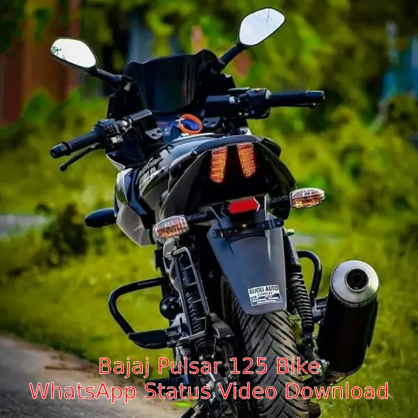 Bajaj Pulsar 125 Bike Status Video Download