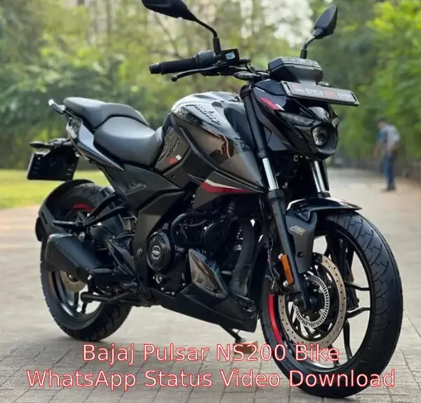 Bajaj Pulsar NS200 Bike Status Video Download