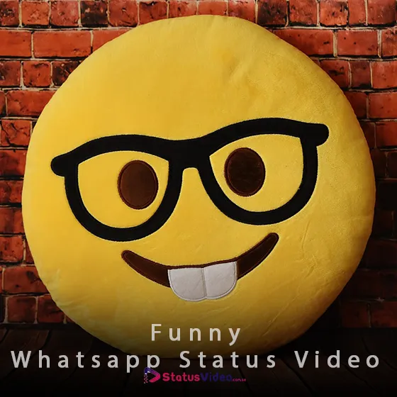 Funny Whatsapp Status Video