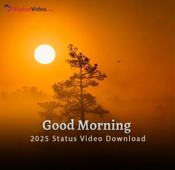 Good Morning 2025 Status Video Download