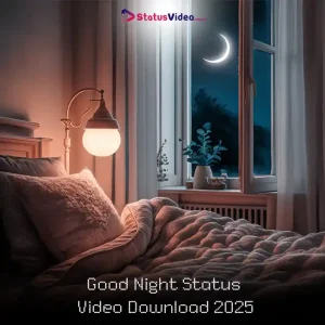 Good Night Status Video Download 2025