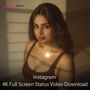 Instagram 4K Full Screen Status Video Download