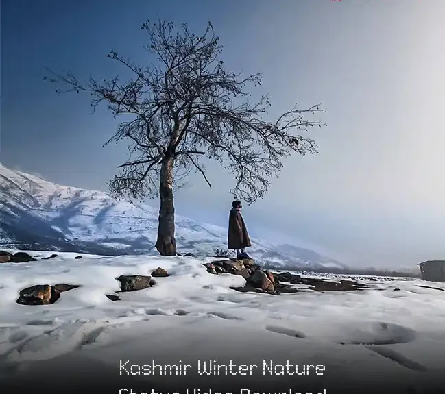 Kashmir Winter Nature Status Video Download