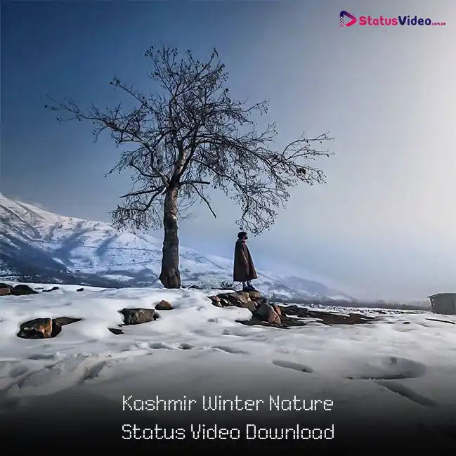 Kashmir Winter Nature Status Video Download