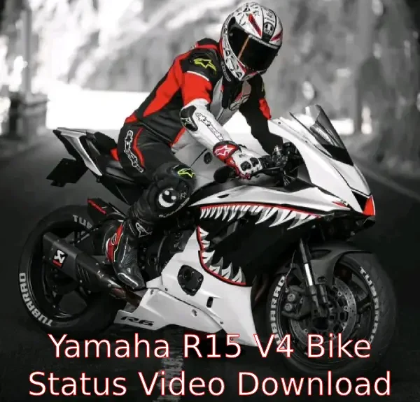 Yamaha R15 V4 Bike Status Video Download