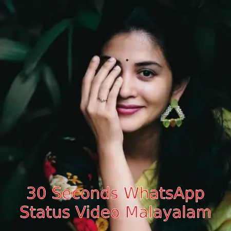 30 Seconds WhatsApp Status Video Malayalam Download