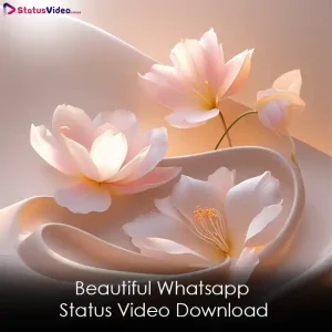 Beautiful Whatsapp Status Video Download