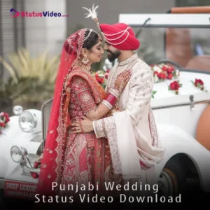 Punjabi Wedding Status Video