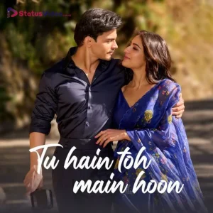 Tu Hain Toh Main Hoon Song Status Video