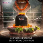 2025 Maha Shivaratri Status Video Download