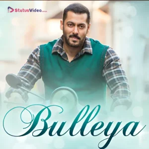 Bulleya Song Status Video Download