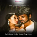 Odia Love Status Video Download