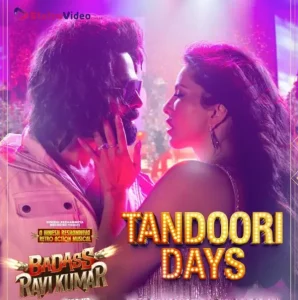 Tandoori Days Song Status Video Download