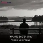 Feeling Sad Status Video Download